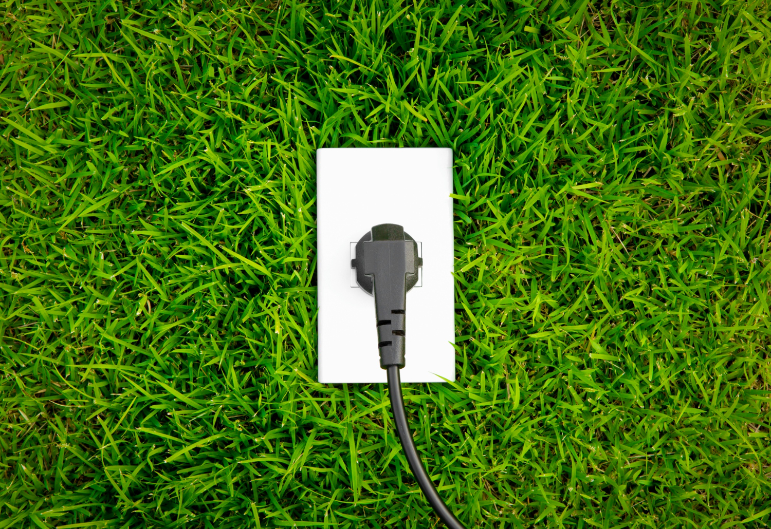 energy-concept-outlet-fresh-spring-green-grass (1)